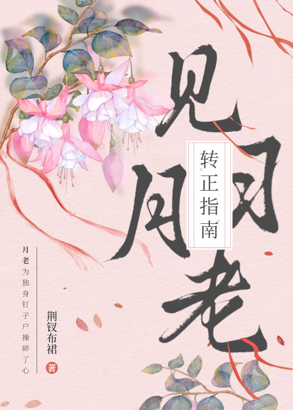见习月老转正指南封面