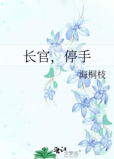 长官，停手封面