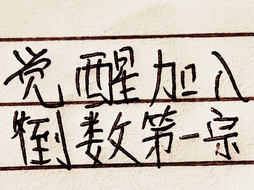 觉醒加入倒数第一宗封面