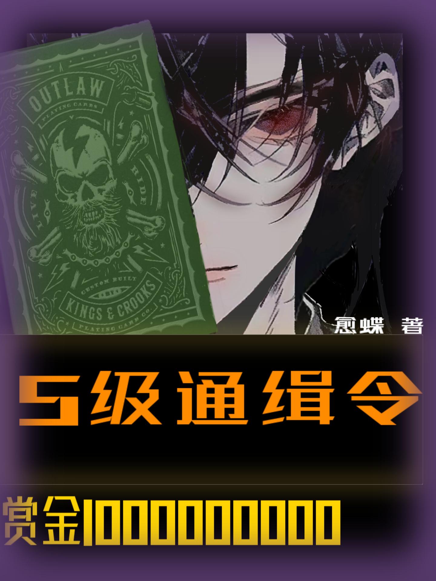 我真的是通缉犯封面
