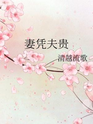 妻凭夫贵封面