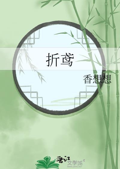 折鸢封面