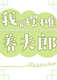 我靠摆摊养夫郎封面