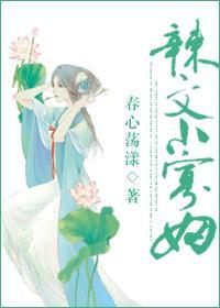 辣文小寡妇封面