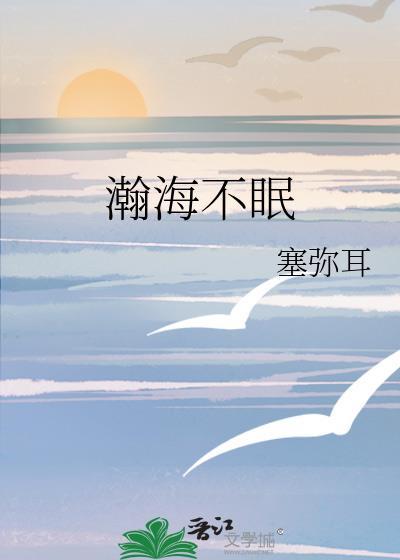 瀚海不眠封面