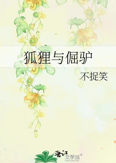 狐貍与倔驴封面