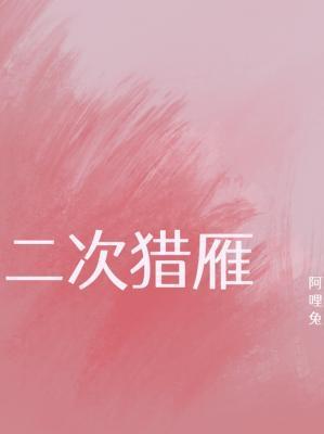 二次猎雁封面