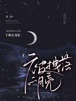 被拽落的月亮封面