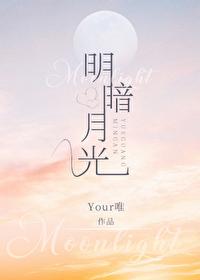 明暗月光封面