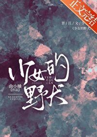 少女的野犬封面