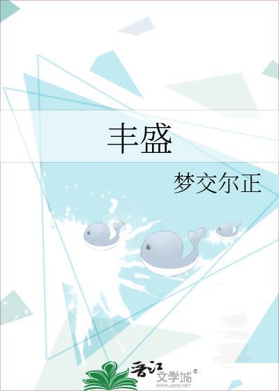 丰盛封面