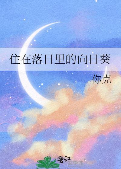 住在落日裏的向日葵封面