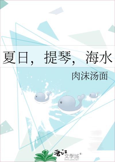夏日,提琴,海水封面