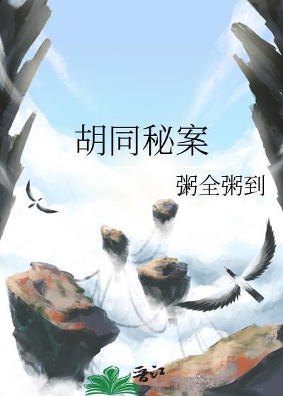 胡同秘案封面