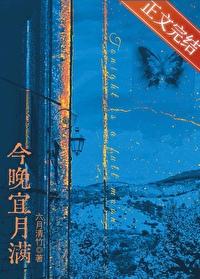 今晚宜月满封面