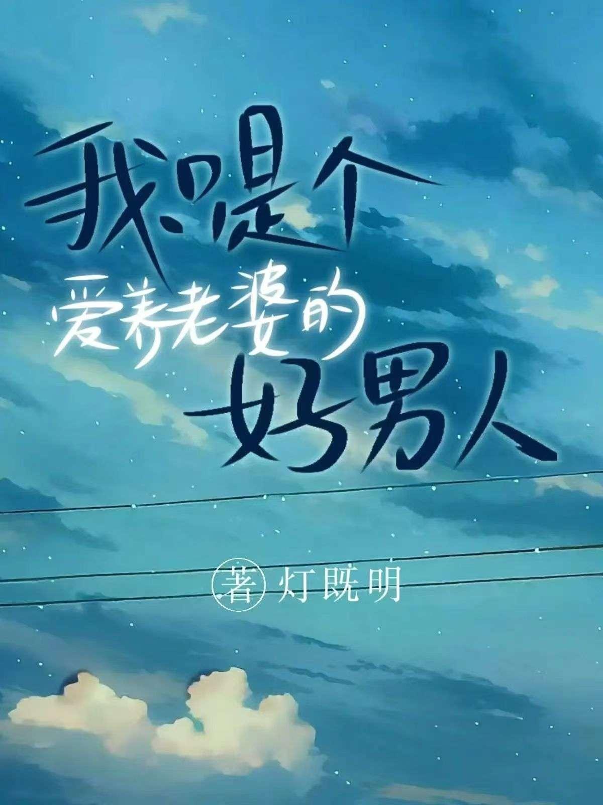 我只是个爱养老婆的好男人封面