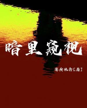 暗裏窥视封面