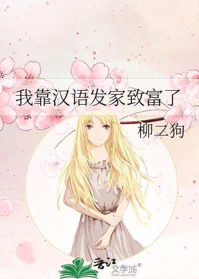 我靠汉语发家致富了封面