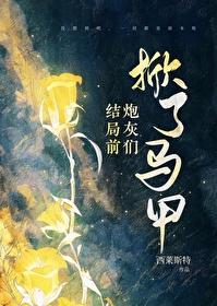 结局前炮灰们掀了马甲封面