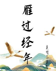 雁过经年封面