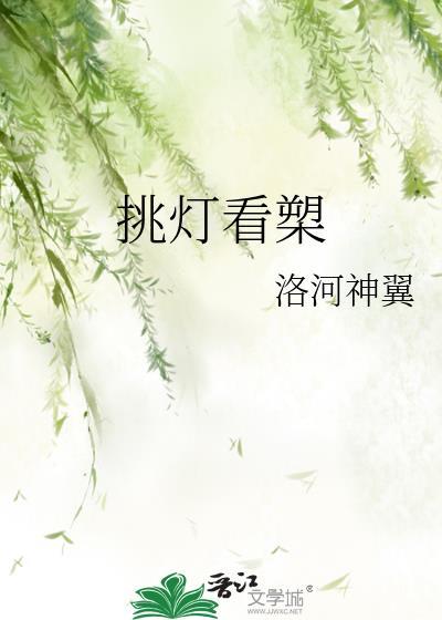挑灯看槊封面