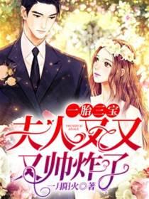 一胎三宝：夫人又又又帅炸了封面