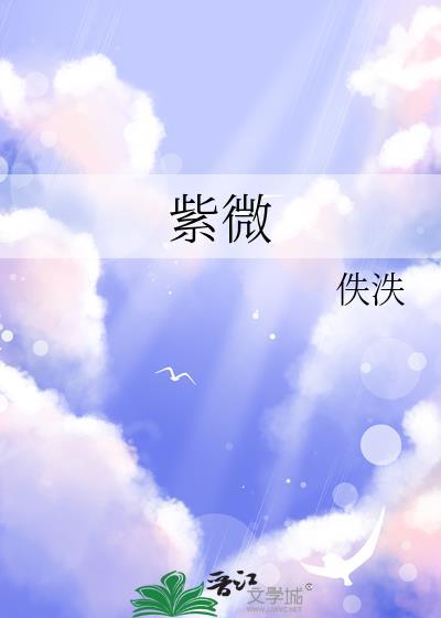 紫微封面