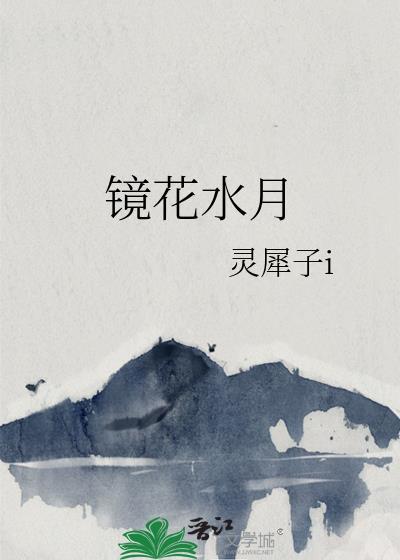 镜花水月封面