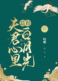 夫君心裏总有白月光封面