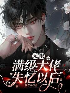 无限:满级大佬失忆以后封面