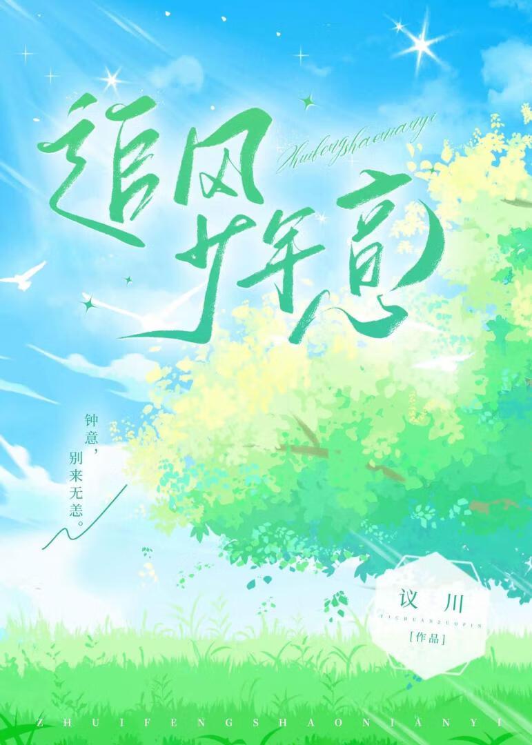 追风少年意封面