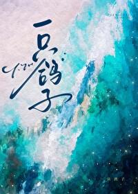 鸽子封面