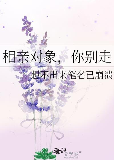 相亲对象,你别走封面