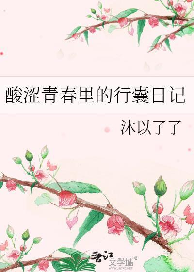 酸涩青春裏的行囊日记封面