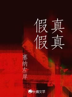 真真假假封面