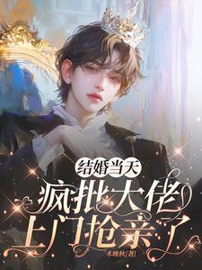 结婚当天，疯批大佬上门抢亲了封面