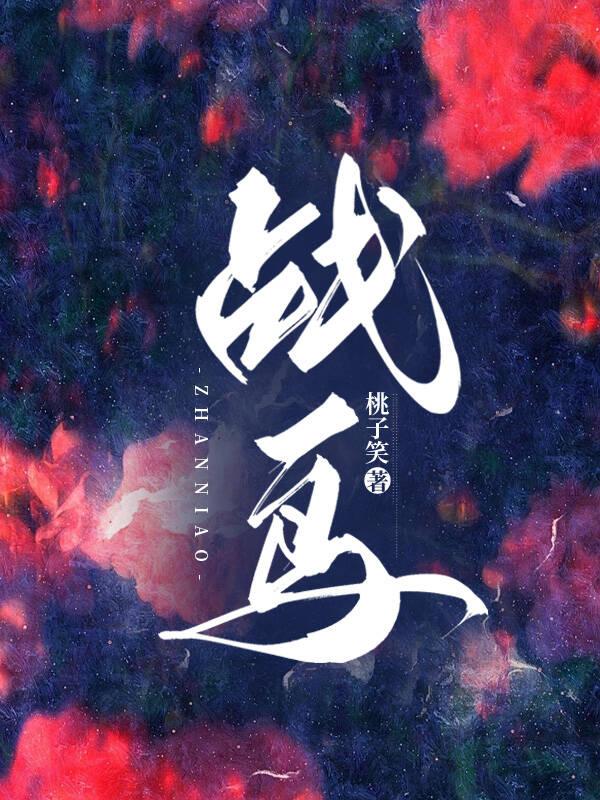 战鸟封面