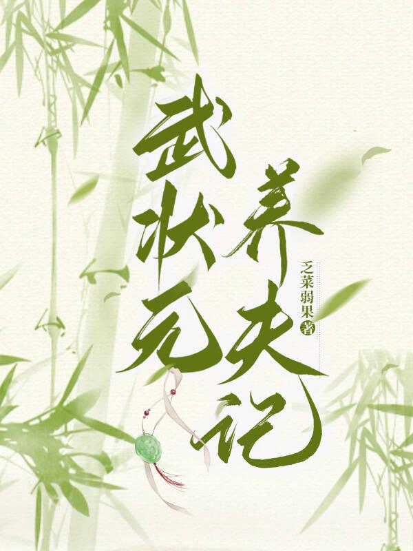 武状元养夫记封面