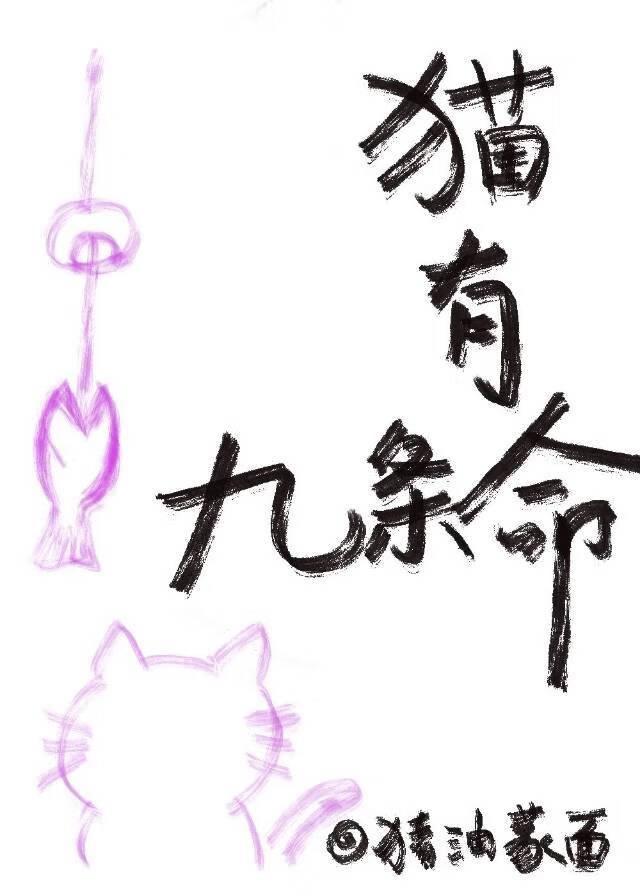 猫有九条命封面