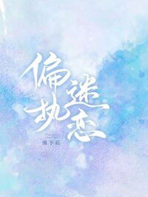偏执迷恋封面