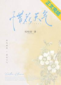惜花天气封面