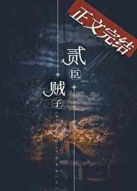 二臣贼子封面
