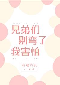 兄弟们别弯了我害怕封面