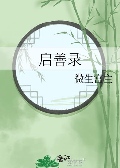 启善录封面