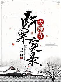 大理寺断案实录封面