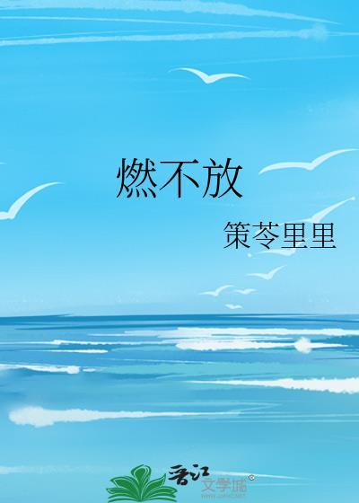 燃不放封面