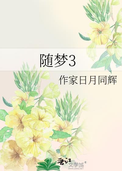 随梦3封面