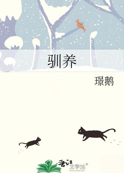 驯养封面