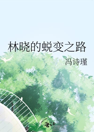 林晓的蜕变之路封面