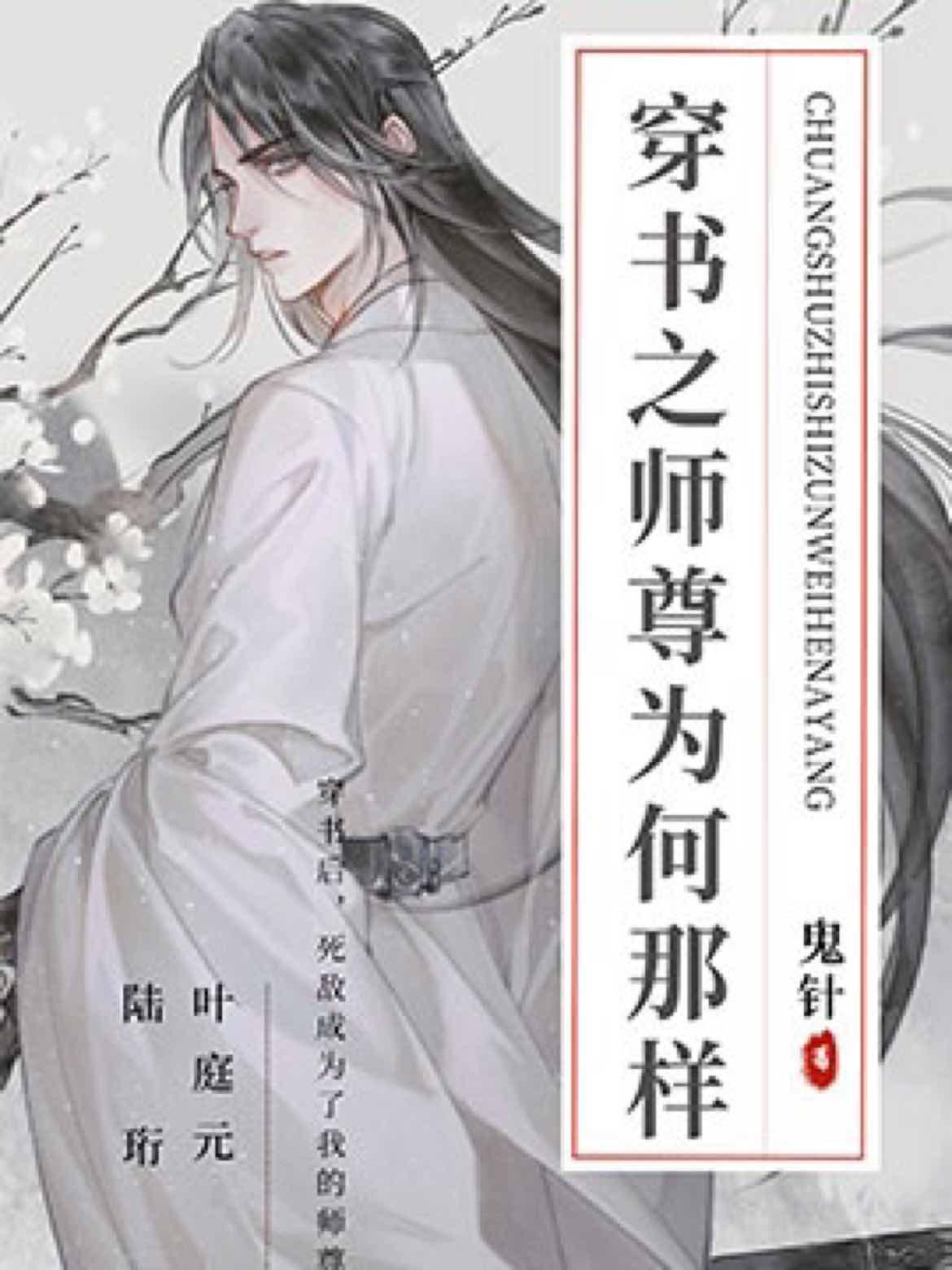 穿书之师尊为何那样封面